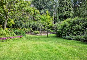 Optimiser l'expérience du jardin à Lignieres-en-Vimeu